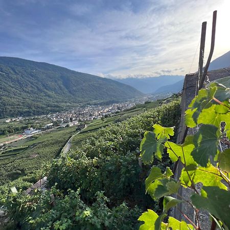 Sanmartino Suite Tirano Kültér fotó