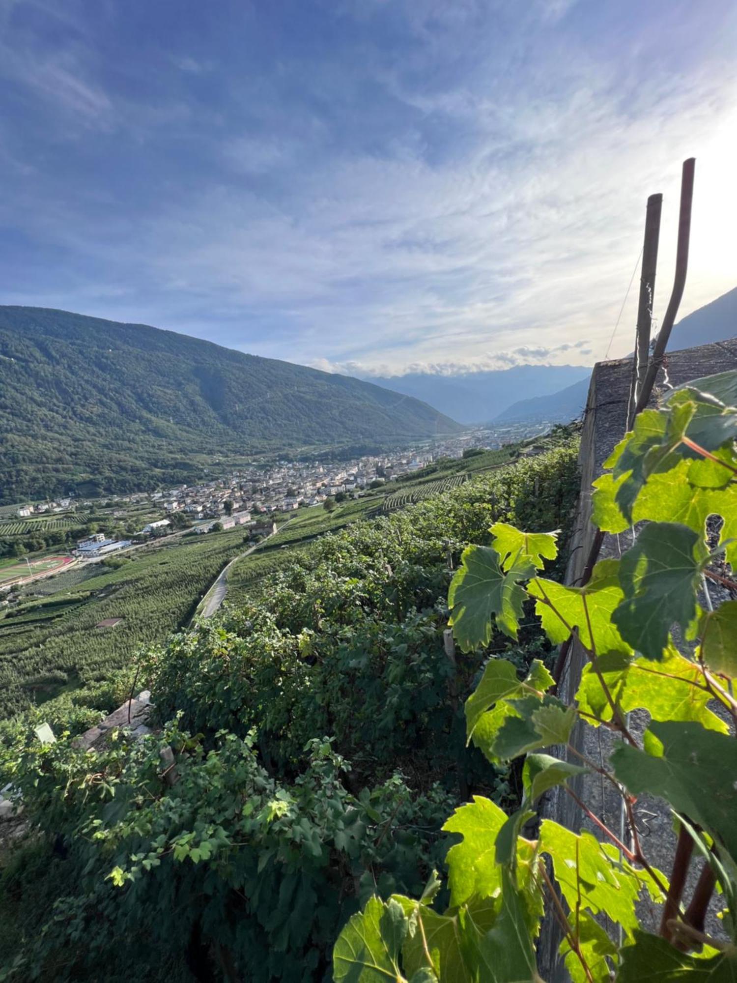 Sanmartino Suite Tirano Kültér fotó